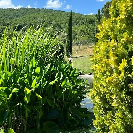 Casa Henry Lisciano Niccone